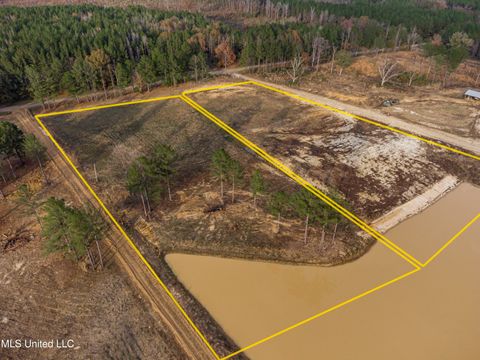 Vacant Land For Sale - Sulphur Springs Road<br/> Canton, MS 39046