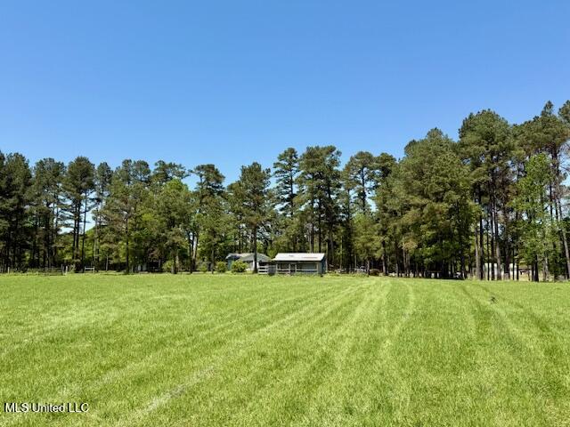 1262 Holmesville Road, Jayess, Mississippi image 32