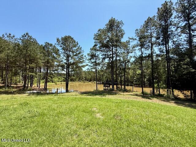 1262 Holmesville Road, Jayess, Mississippi image 36