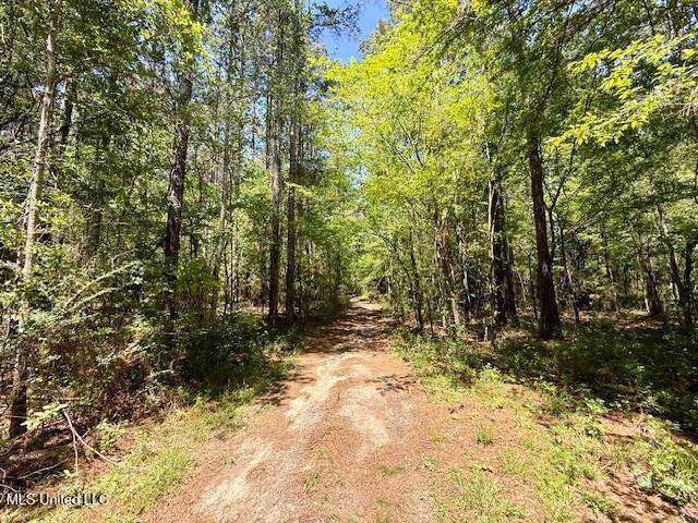 1262 Holmesville Road, Jayess, Mississippi image 50