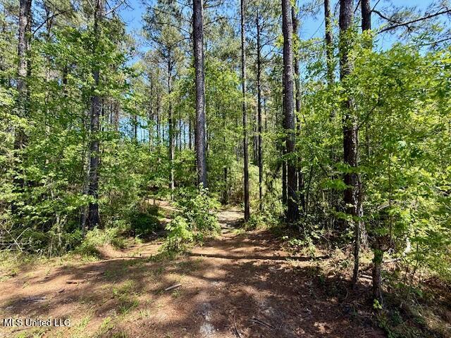 1262 Holmesville Road, Jayess, Mississippi image 47