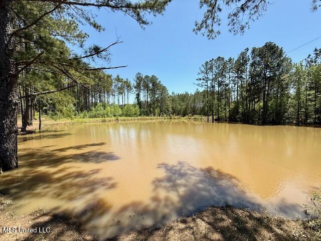1262 Holmesville Road, Jayess, Mississippi image 43