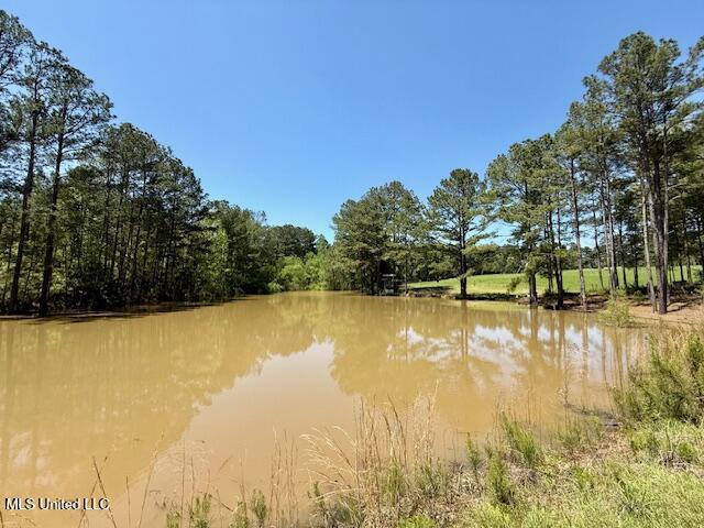 1262 Holmesville Road, Jayess, Mississippi image 44