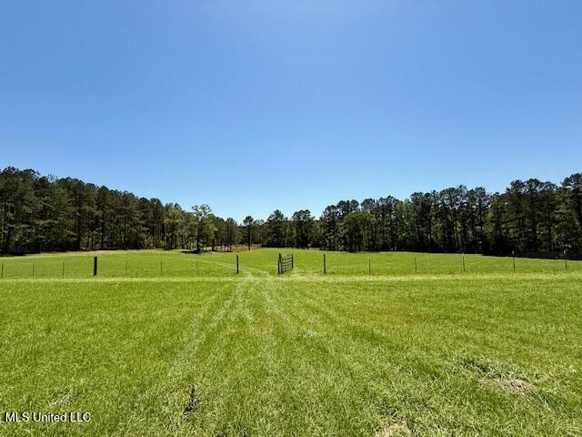 1262 Holmesville Road, Jayess, Mississippi image 34