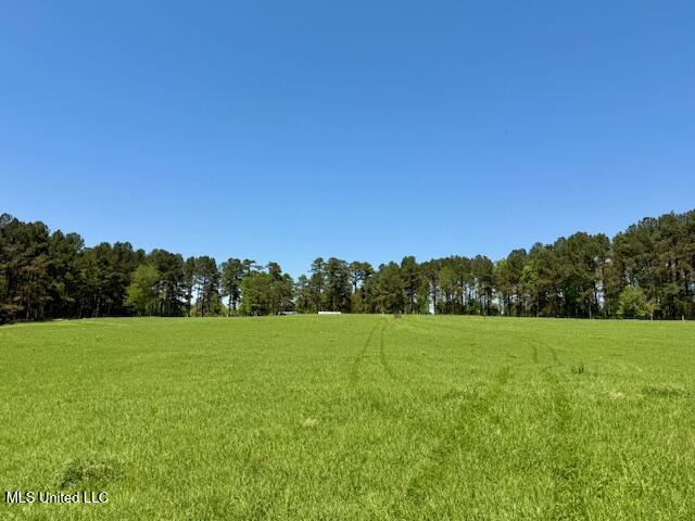1262 Holmesville Road, Jayess, Mississippi image 38