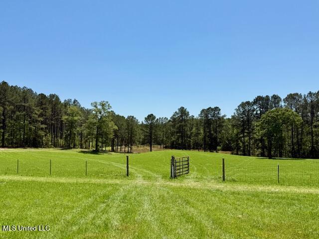 1262 Holmesville Road, Jayess, Mississippi image 31