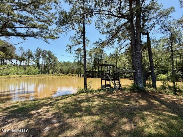 1262 Holmesville Road, Jayess, Mississippi image 42