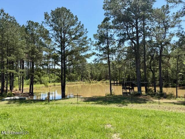 1262 Holmesville Road, Jayess, Mississippi image 37