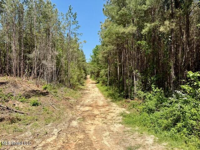 1262 Holmesville Road, Jayess, Mississippi image 49