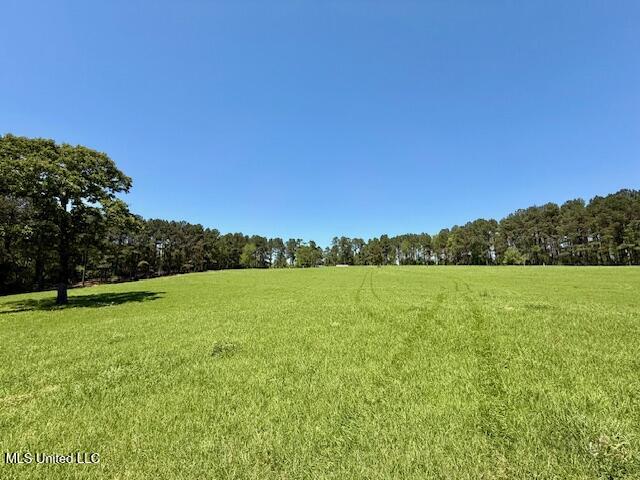 1262 Holmesville Road, Jayess, Mississippi image 39