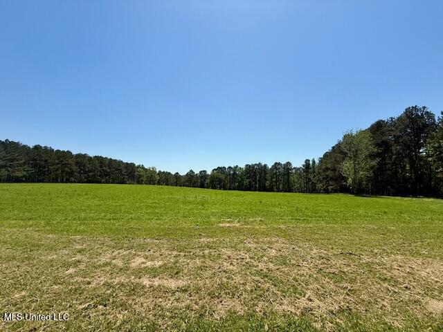 1262 Holmesville Road, Jayess, Mississippi image 9