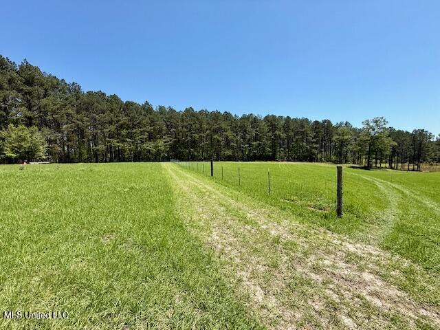 1262 Holmesville Road, Jayess, Mississippi image 35