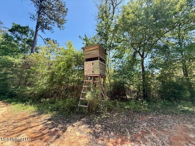 1262 Holmesville Road, Jayess, Mississippi image 48