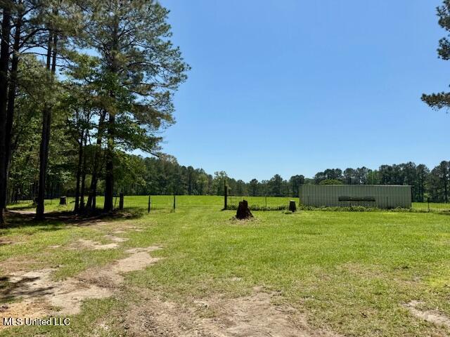 1262 Holmesville Road, Jayess, Mississippi image 26