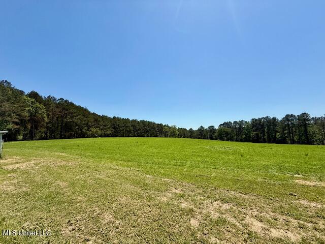 1262 Holmesville Road, Jayess, Mississippi image 29