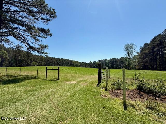 1262 Holmesville Road, Jayess, Mississippi image 10