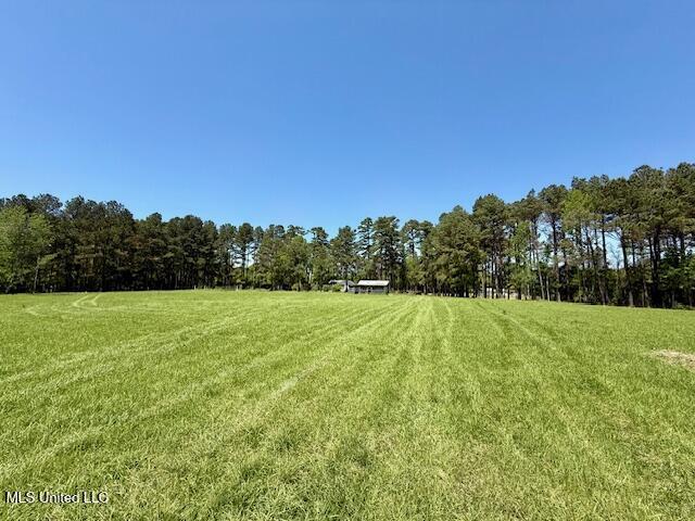 1262 Holmesville Road, Jayess, Mississippi image 33
