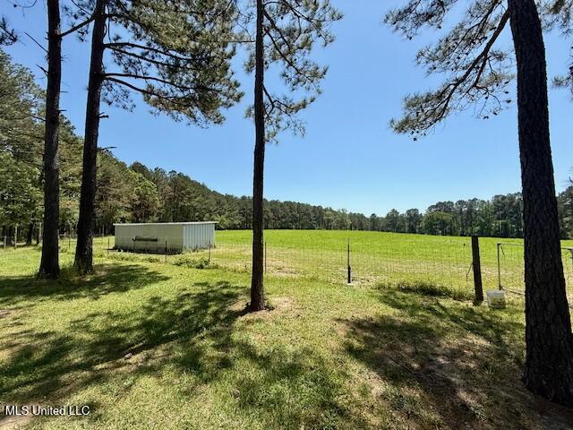 1262 Holmesville Road, Jayess, Mississippi image 27