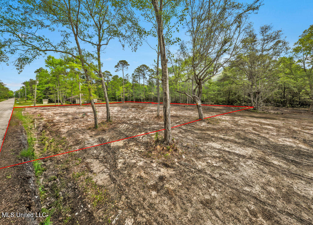 Dorothy Street, Ocean Springs, Mississippi image 2