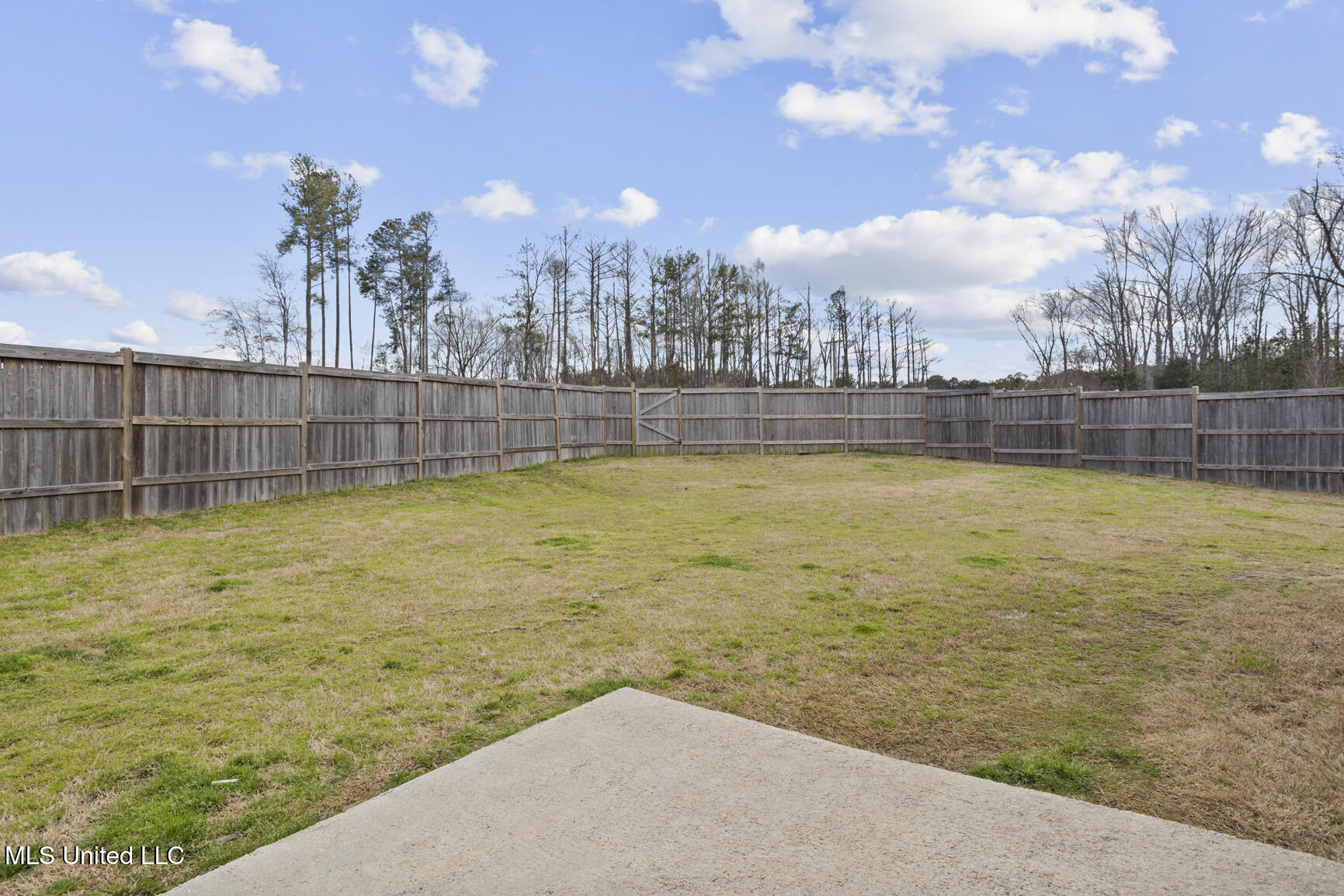 258 Reservoir Way, Brandon, Mississippi image 42