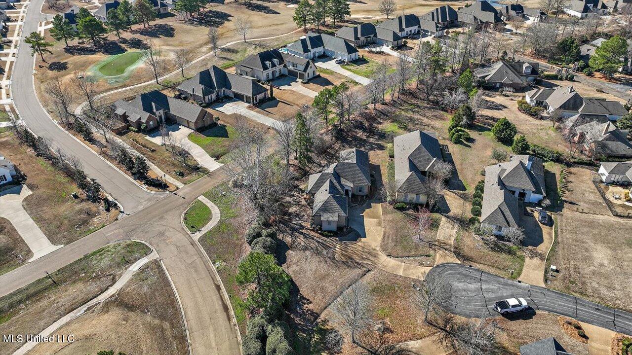 407 Belle Pointe Lane, Madison, Mississippi image 43