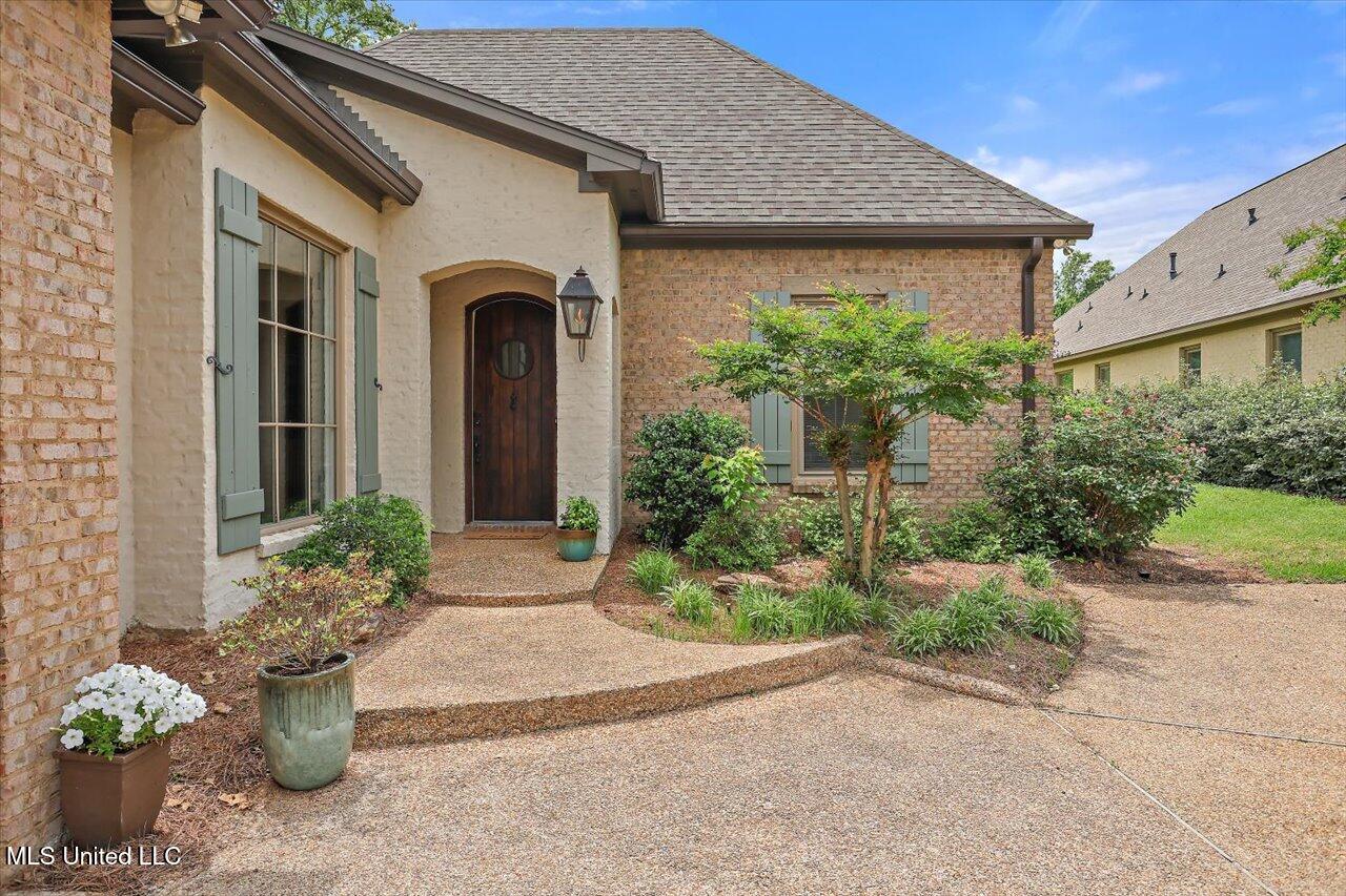 407 Belle Pointe Lane, Madison, Mississippi image 1