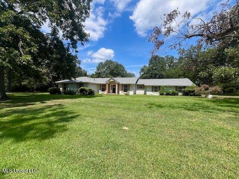 Homes For Sale - 206 Lewis Street<br/> Florence, MS 39073