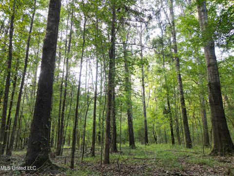 Vacant Land For Sale - 2435 Ms-43<br/> Canton, MS 39046