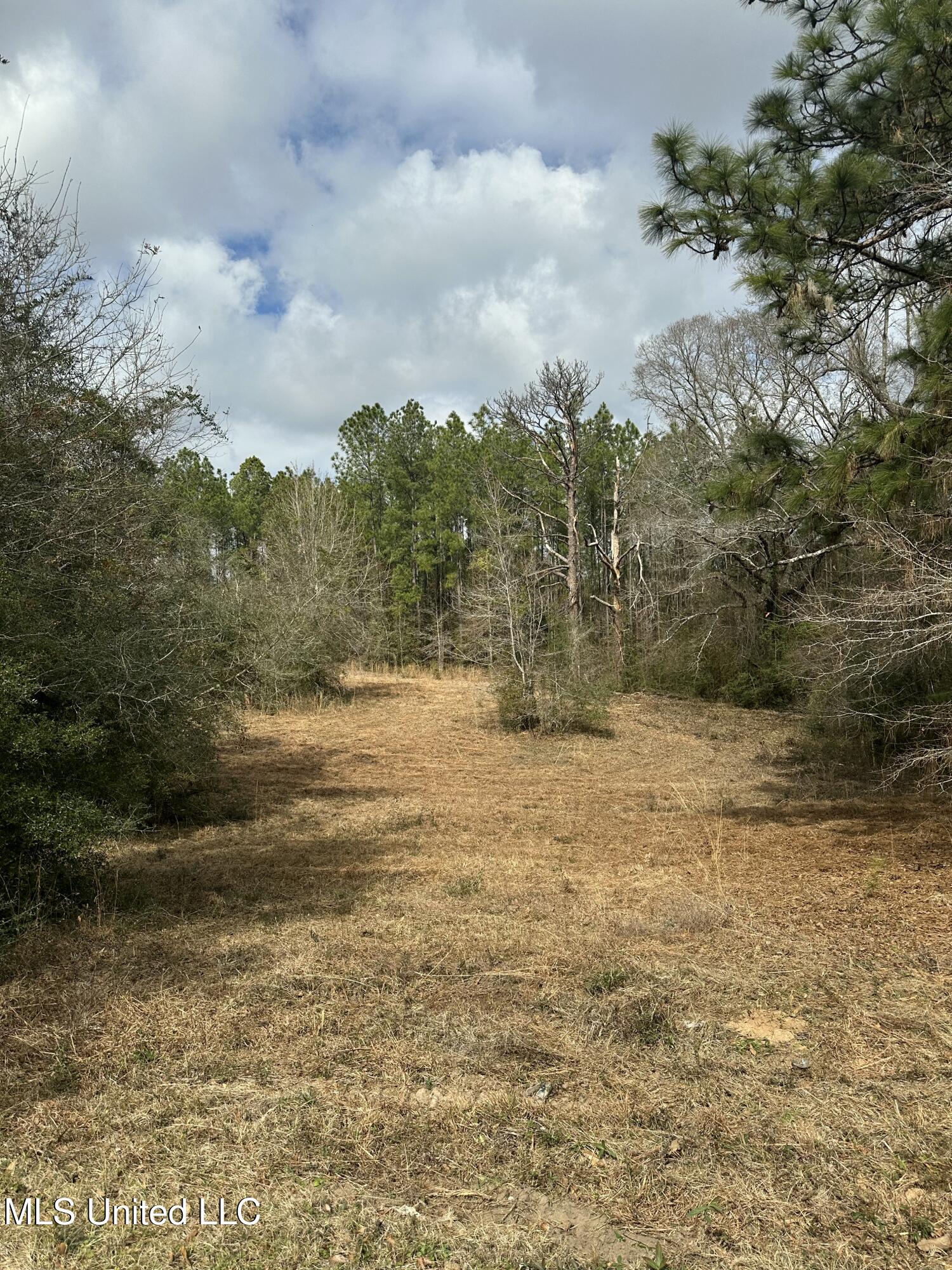 Bisbee Drive, Lumberton, Mississippi image 2