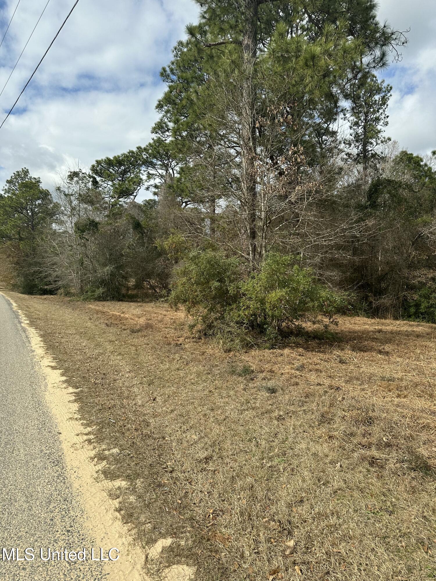 Bisbee Drive, Lumberton, Mississippi image 1