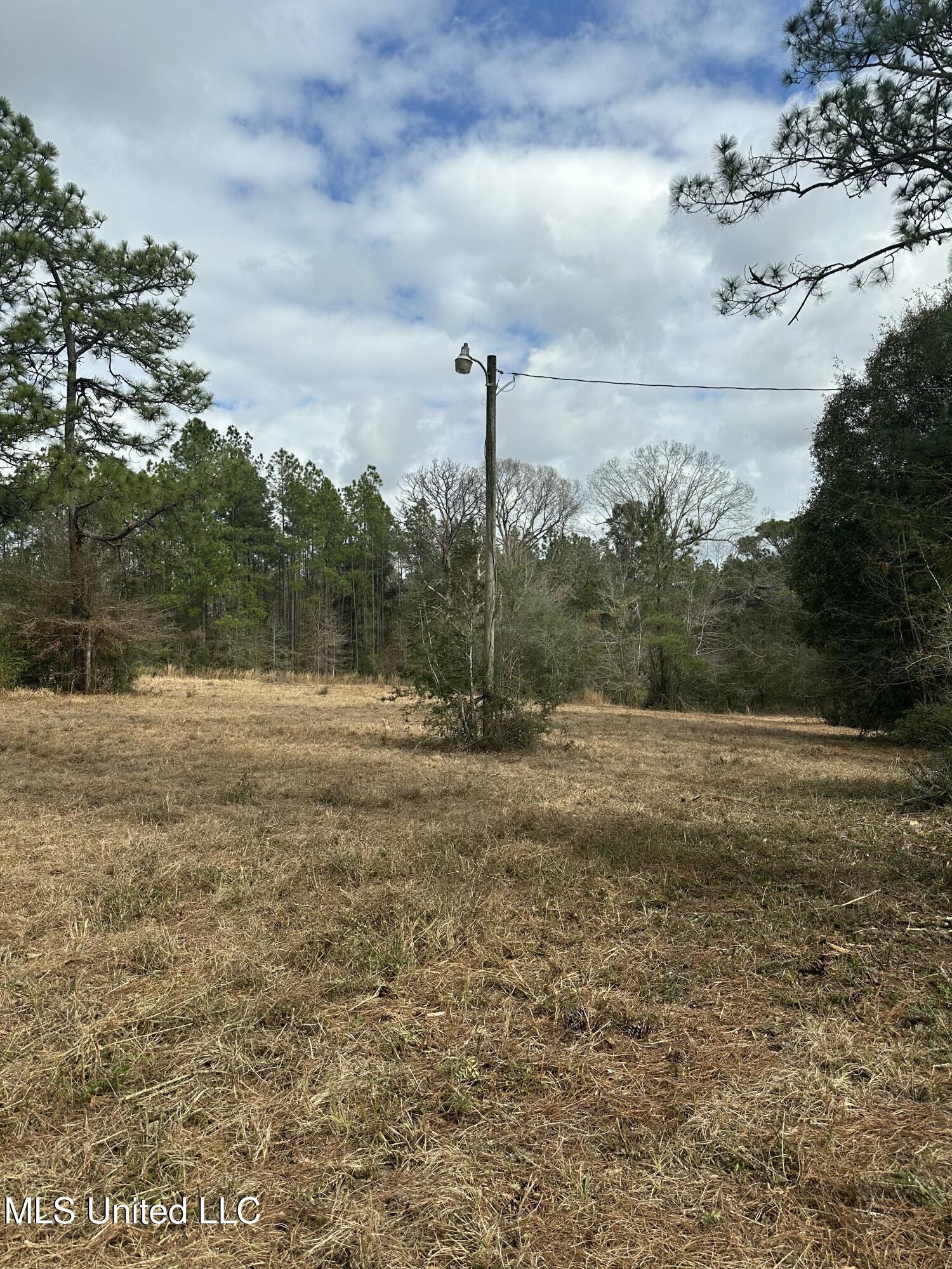 Bisbee Drive, Lumberton, Mississippi image 4