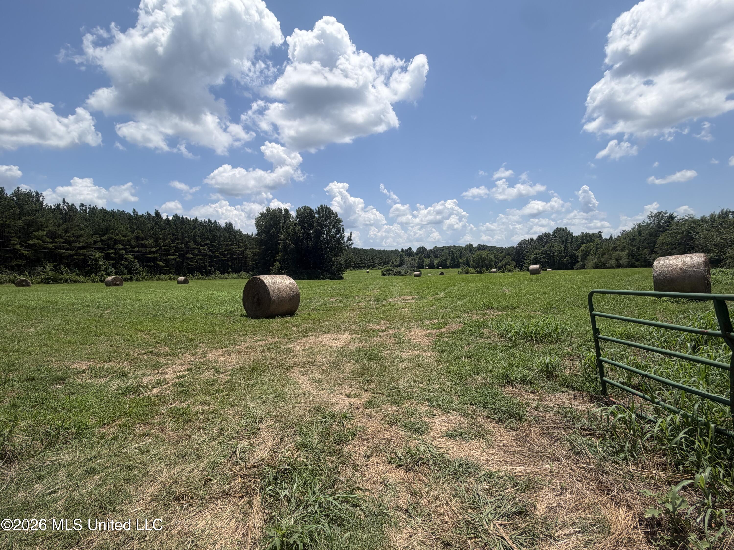 Photo 1 of 7 — 00 Graves Road, Holly Springs, MS 38635