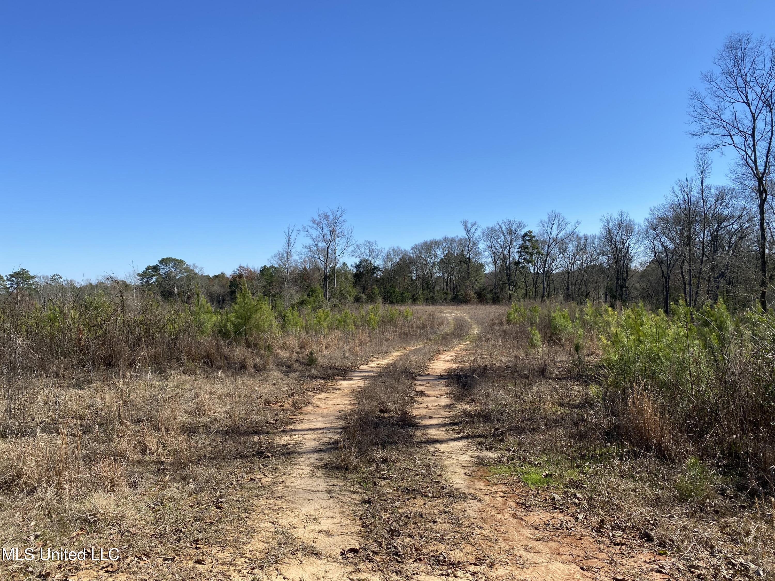 10409 Ms 21, Forest, Mississippi image 2