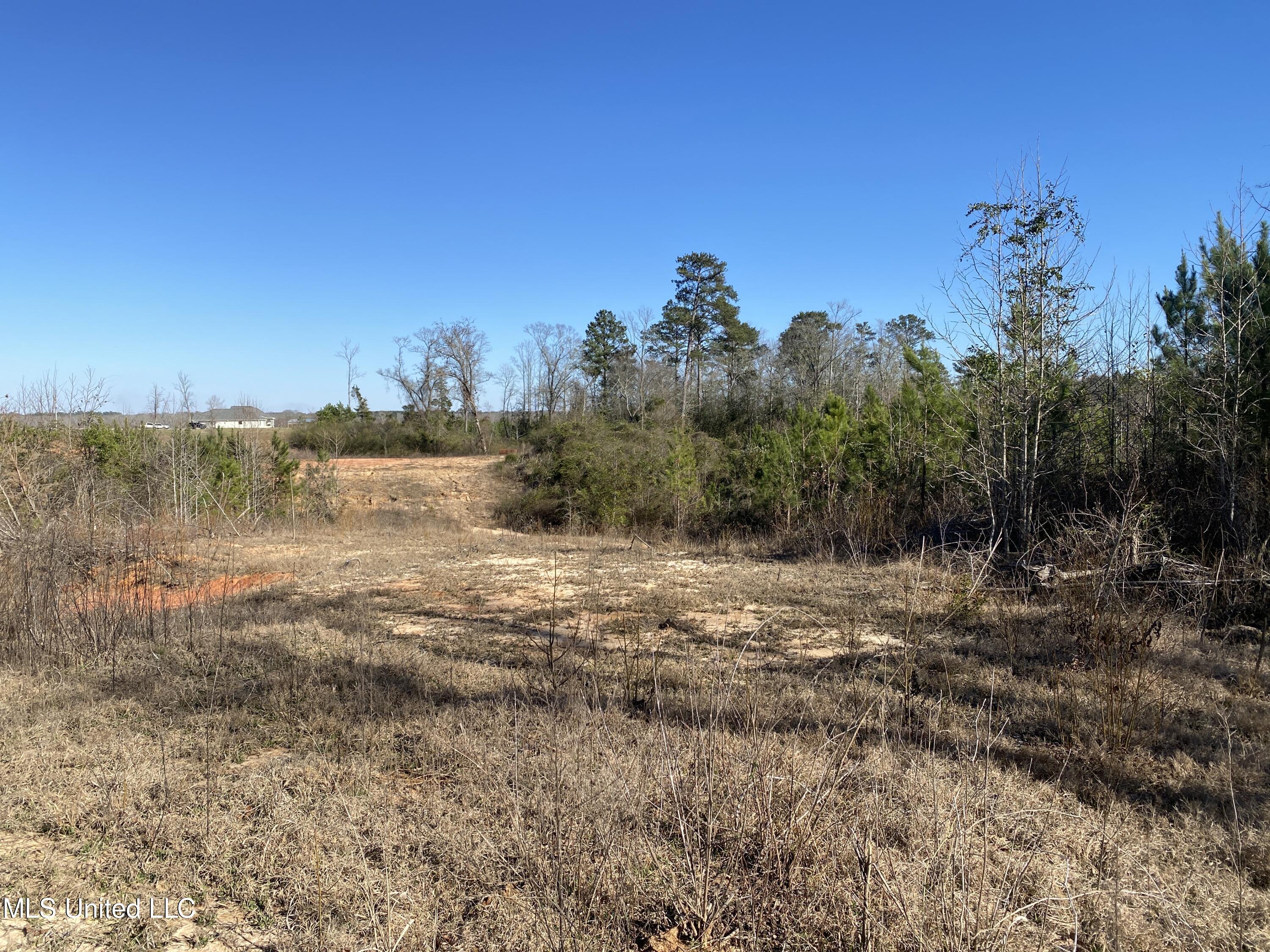 10409 Ms 21, Forest, Mississippi image 13