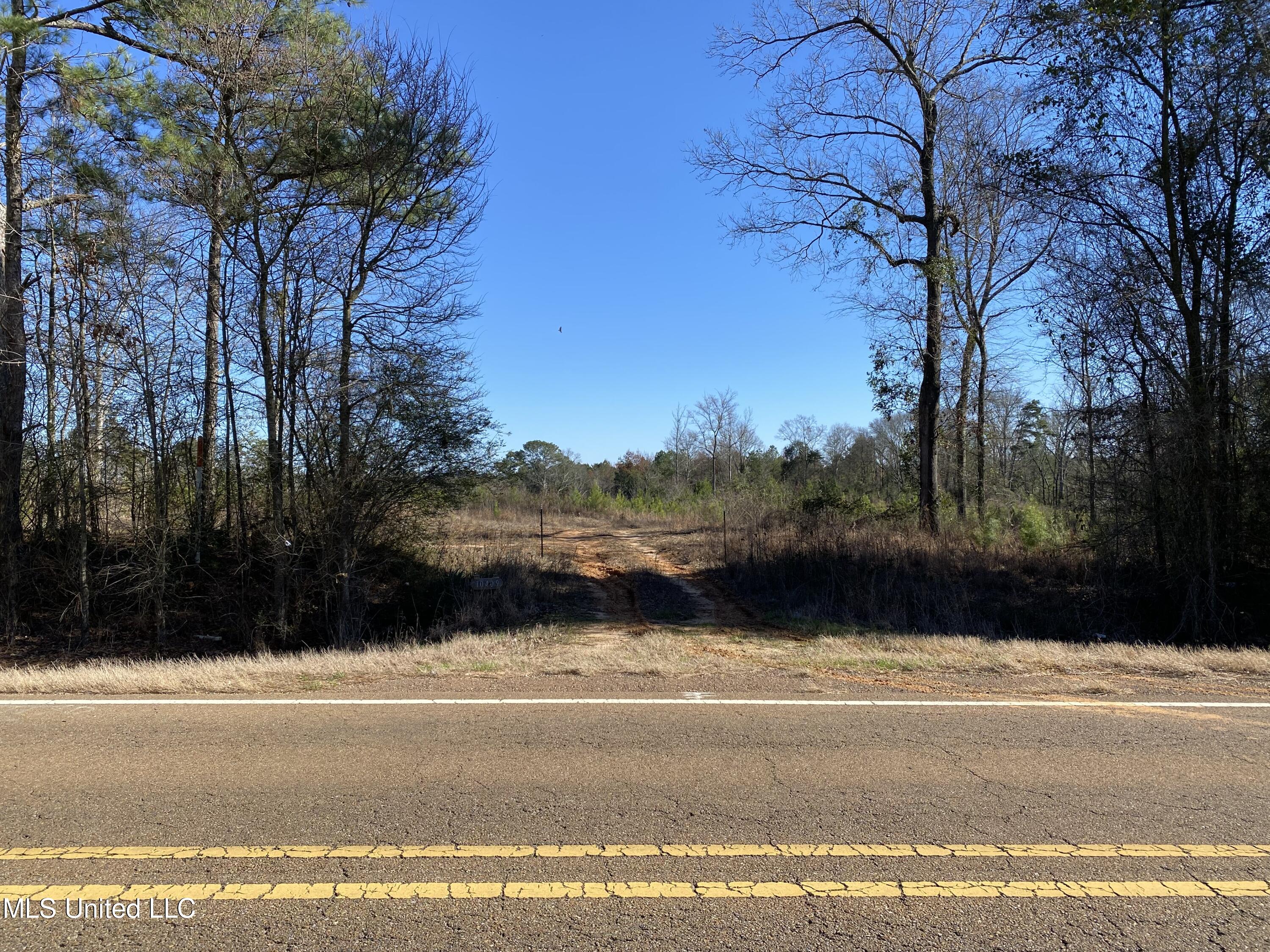 10409 Ms 21, Forest, Mississippi image 3