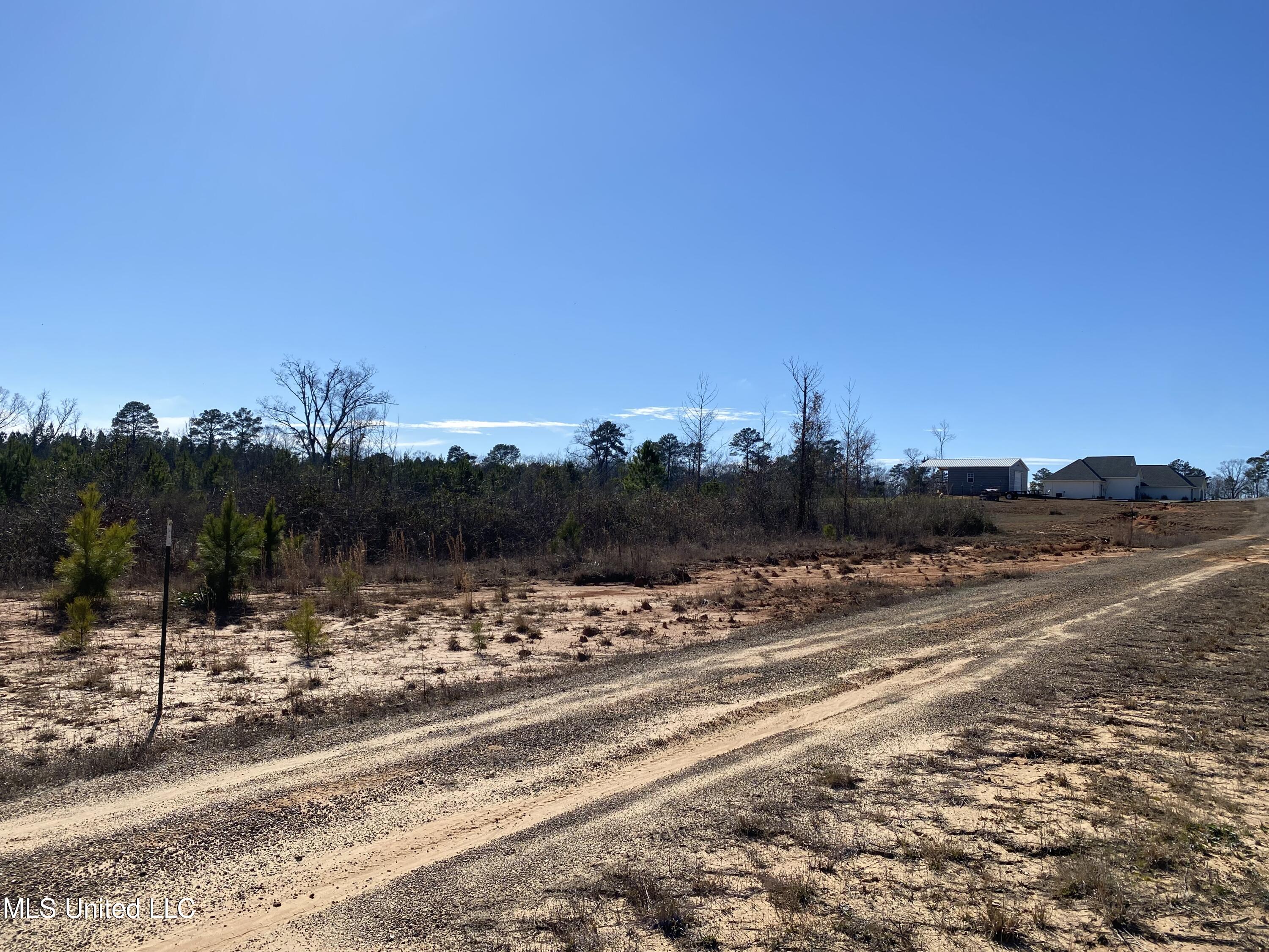 10409 Ms 21, Forest, Mississippi image 15