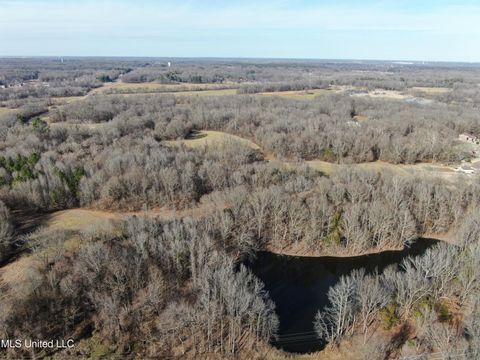 Vacant Land For Sale - 3800 Highway 301 Road<br/> Lake Cormorant, MS 38641