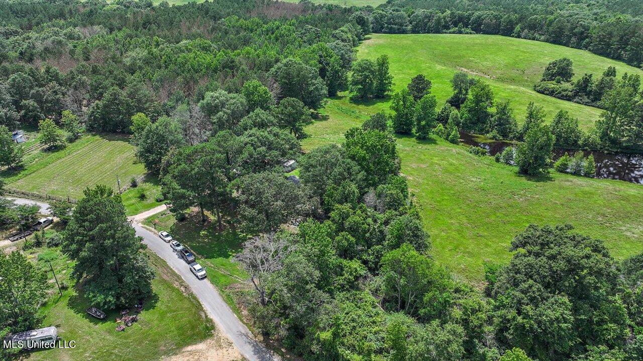 Hosey Road, Magee, Mississippi image 20