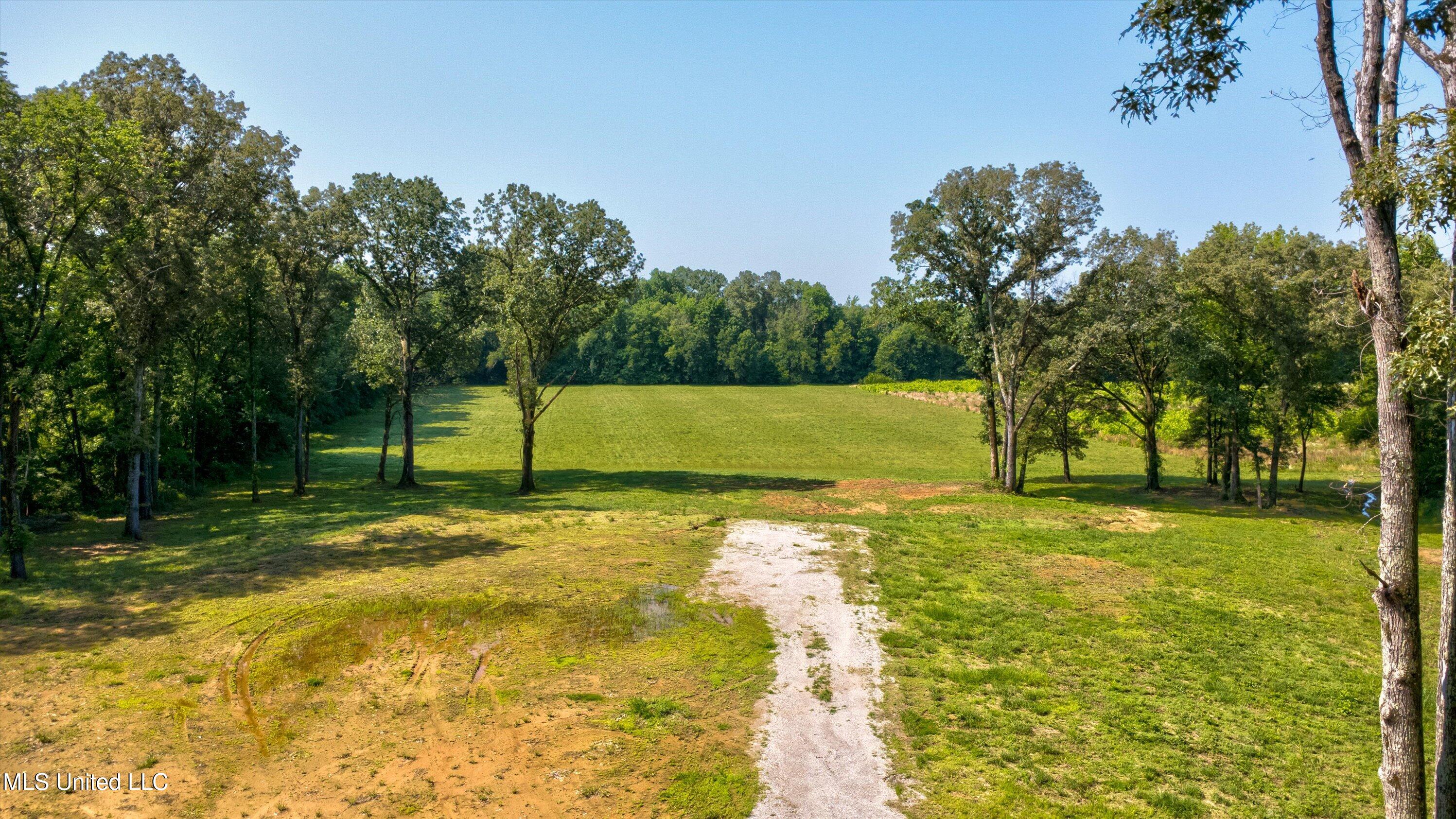 2069 Hogan Road, Holly Springs, Mississippi image 4