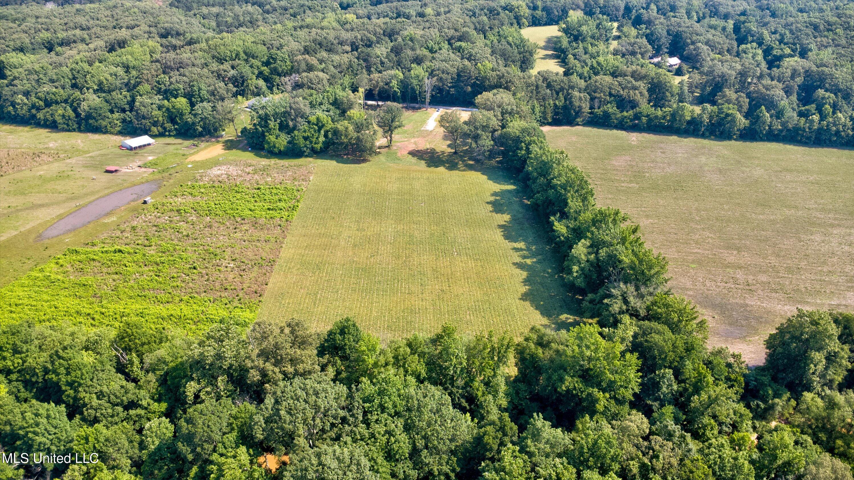 2069 Hogan Road, Holly Springs, Mississippi image 3