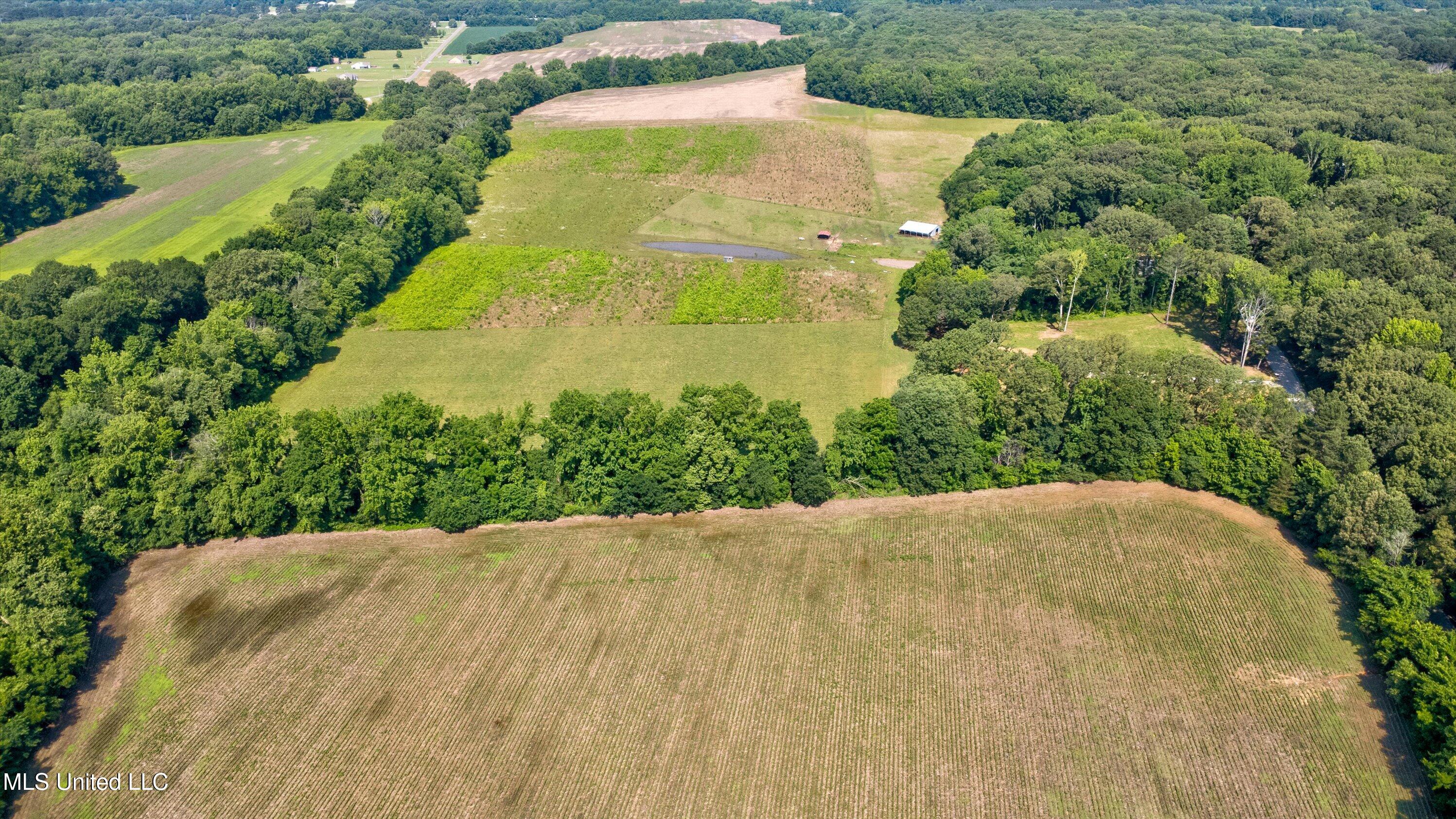 2069 Hogan Road, Holly Springs, Mississippi image 12