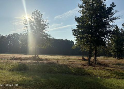 Vacant Land For Sale - 00 Shire Avenue<br/> Forest, MS 39074