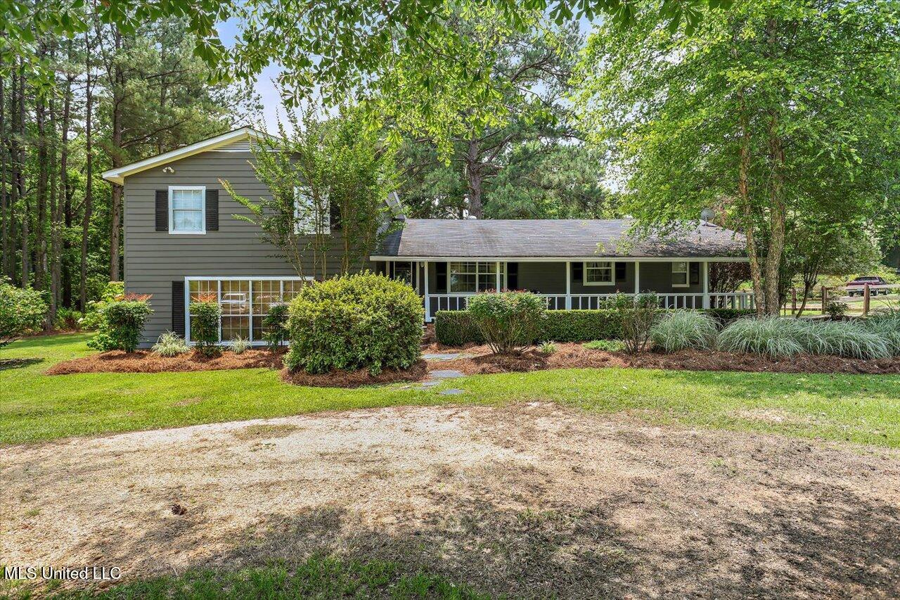 315 Wilson Welch Road, Mendenhall, Mississippi image 1