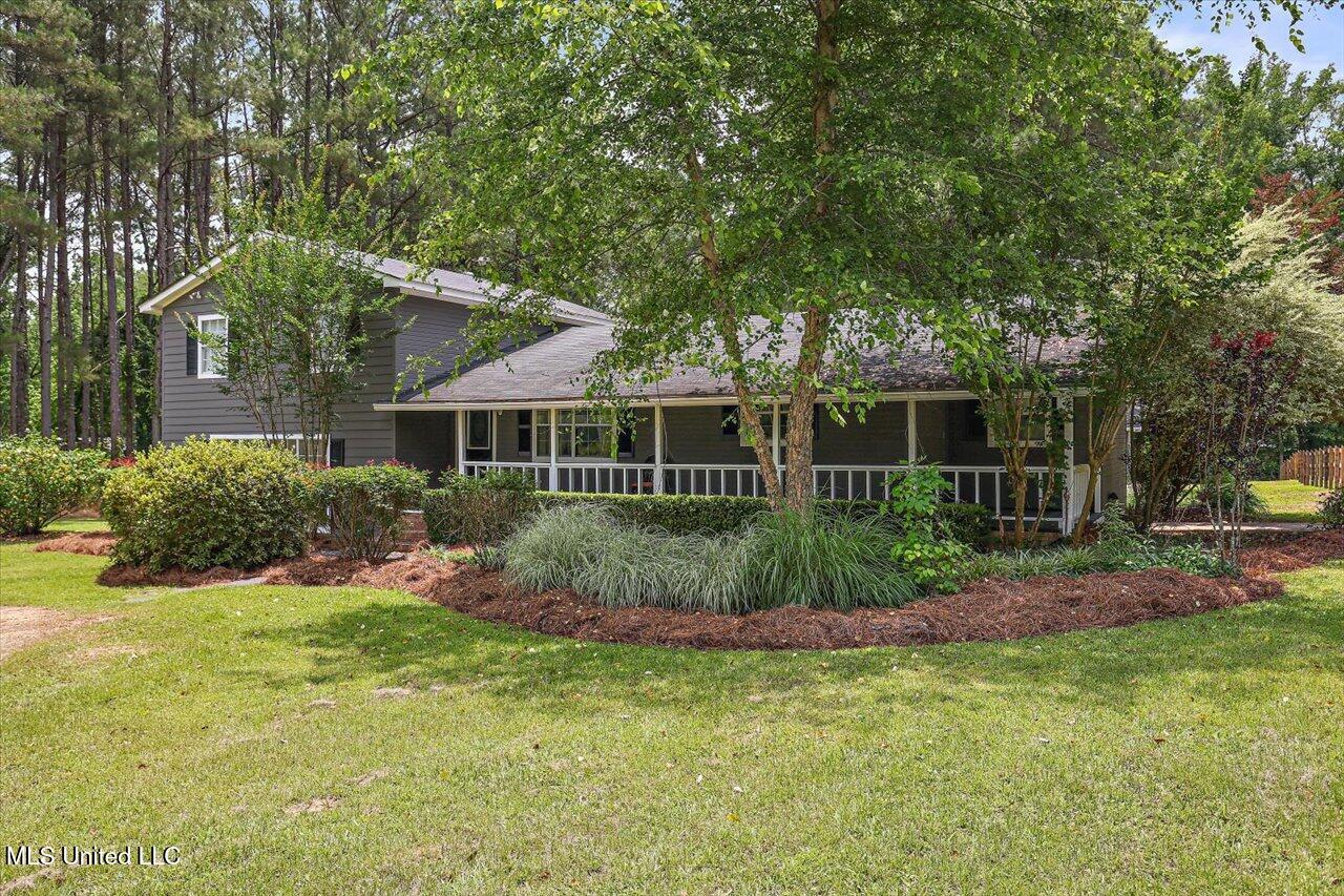 315 Wilson Welch Road, Mendenhall, Mississippi image 2