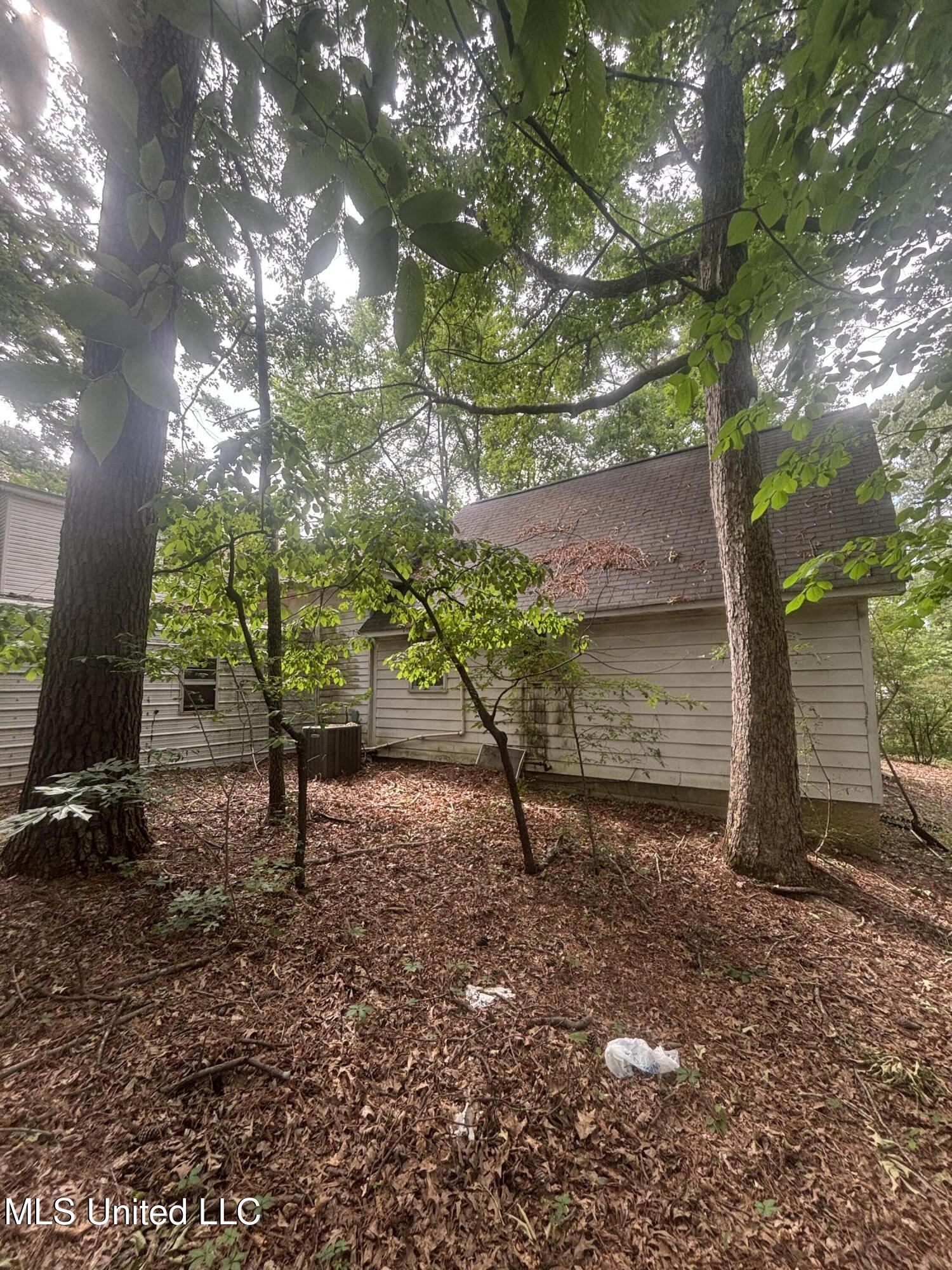 6800 Whippoorwill Drive, Olive Branch, Mississippi image 9