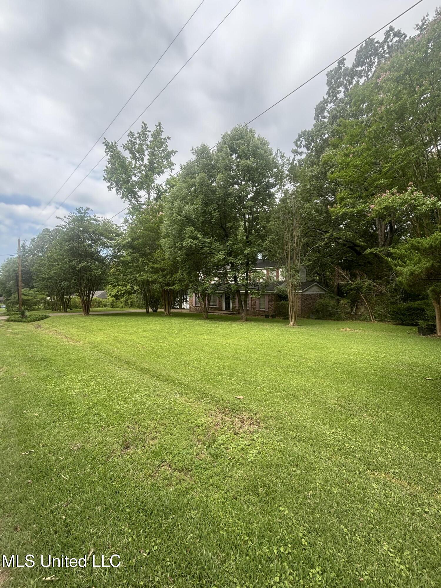 6800 Whippoorwill Drive, Olive Branch, Mississippi image 2