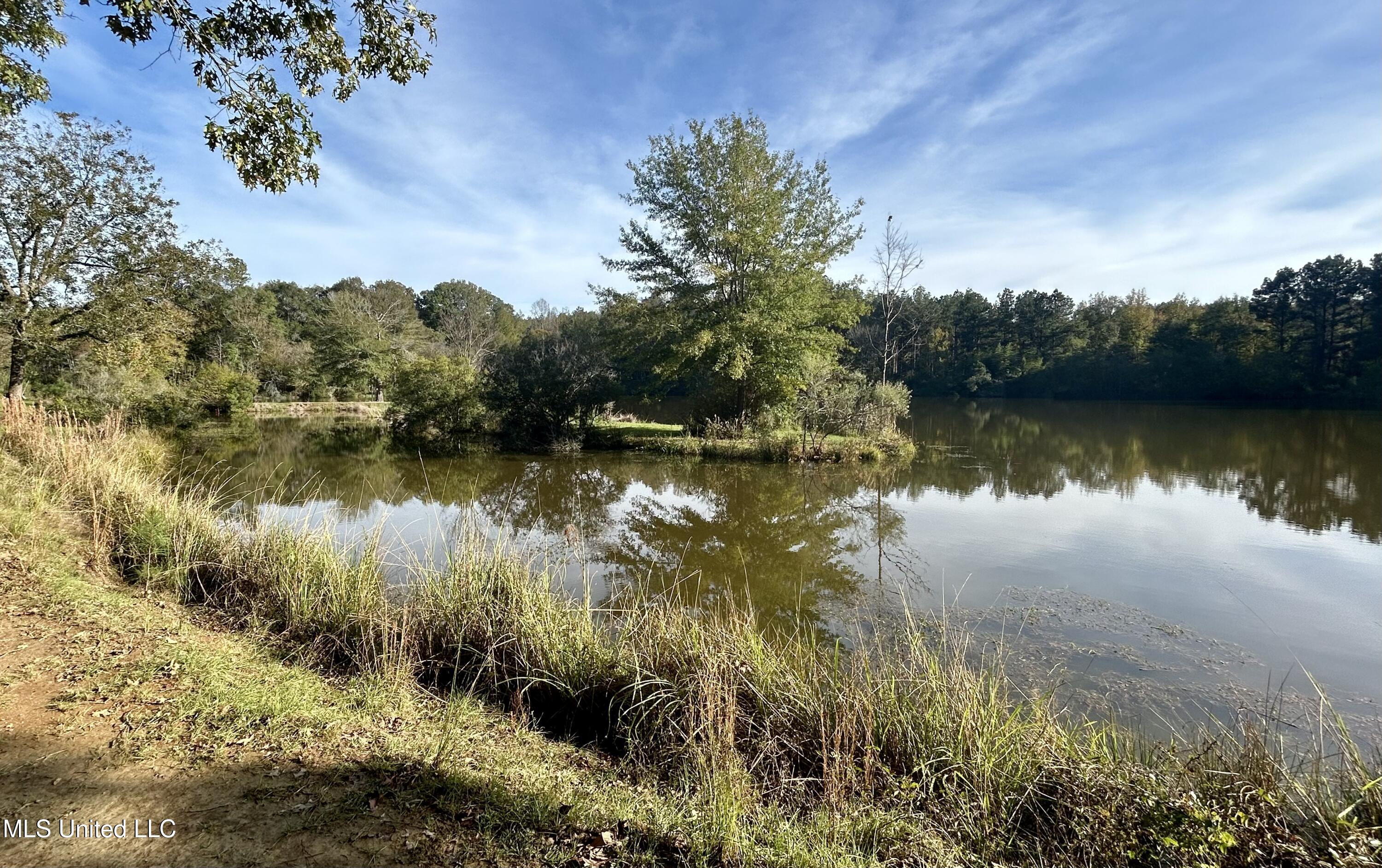 1845 Dry Fork Creek Road, Crosby, Mississippi image 43