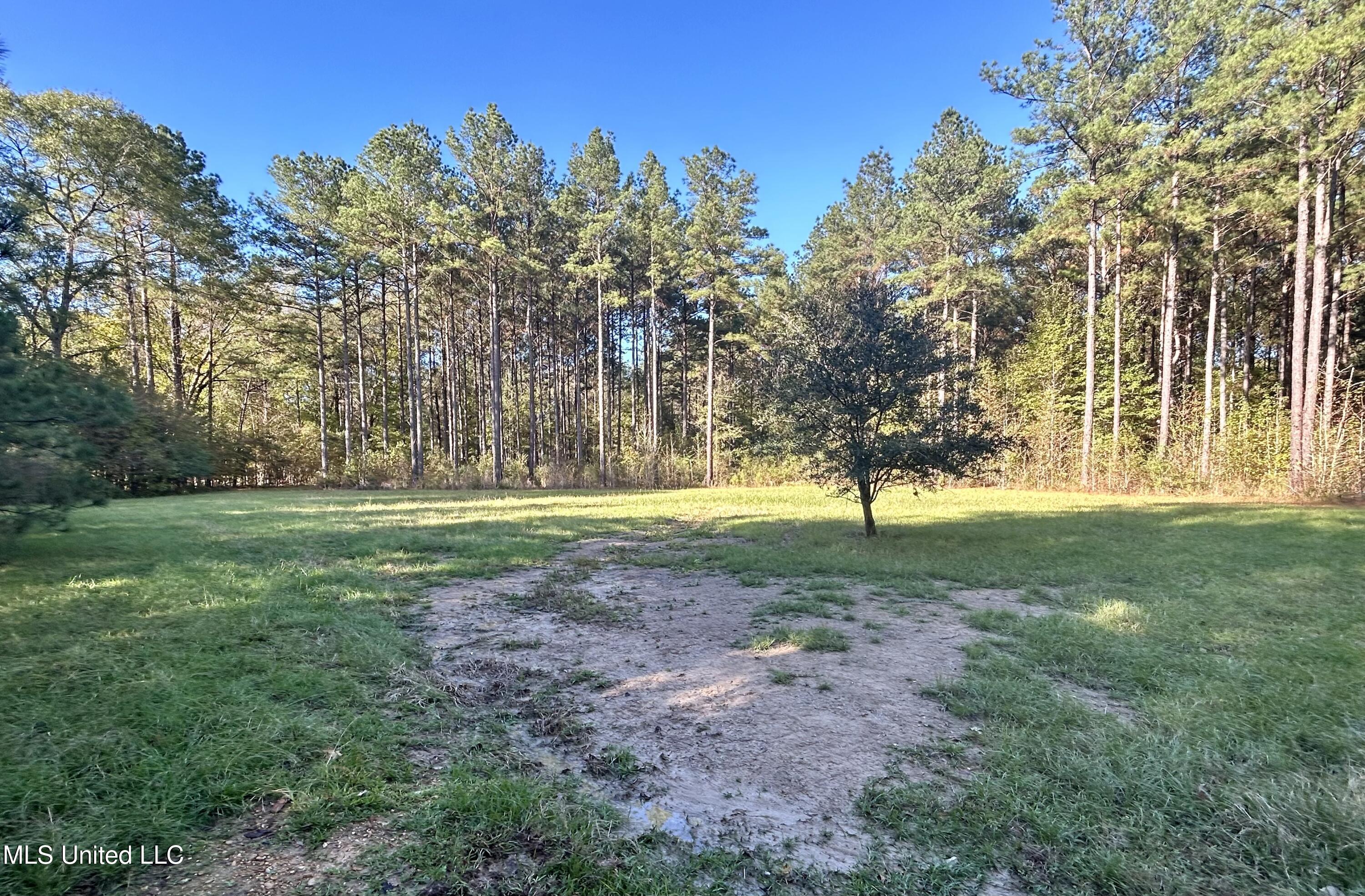 1845 Dry Fork Creek Road, Crosby, Mississippi image 5