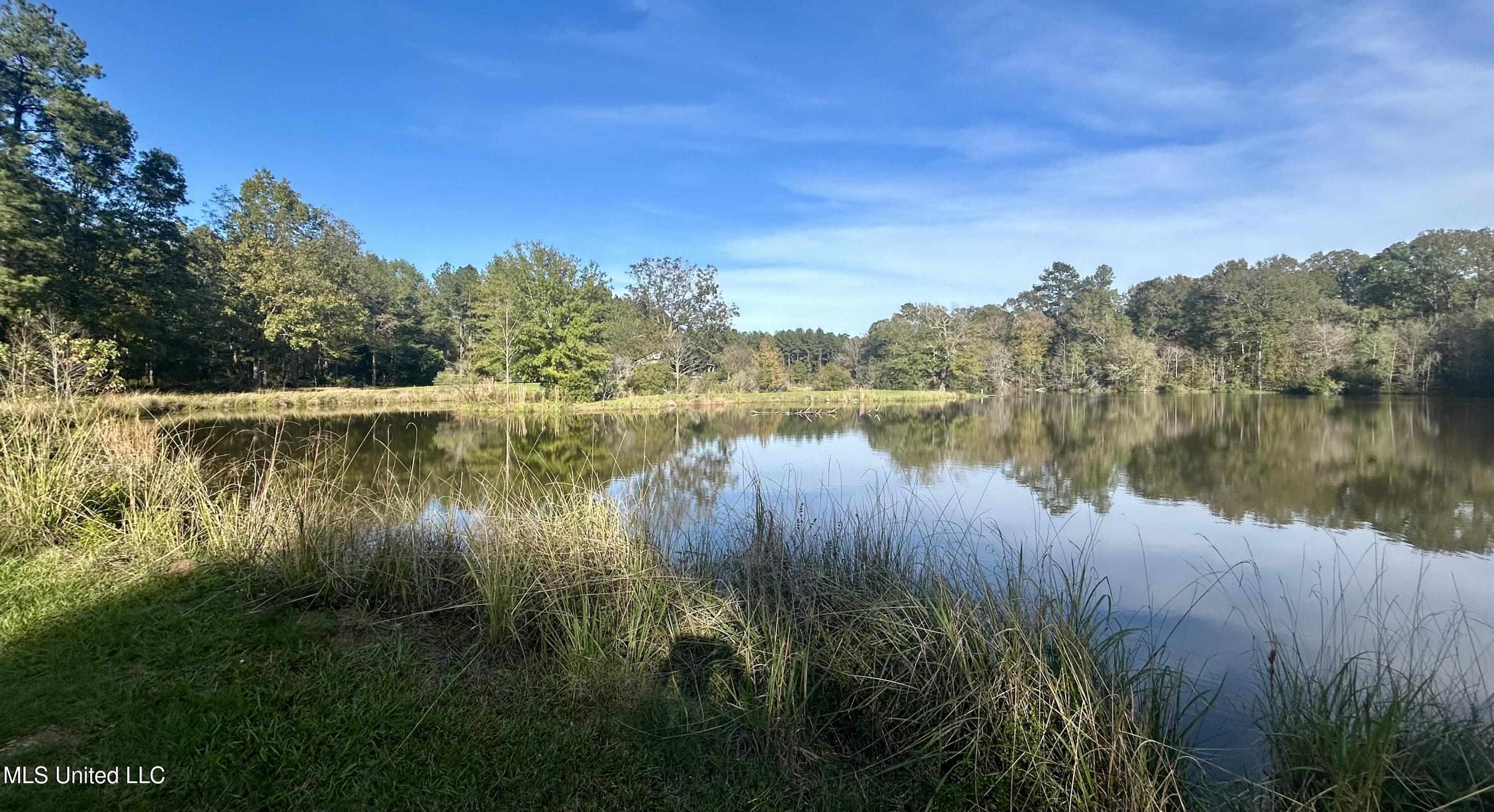 1845 Dry Fork Creek Road, Crosby, Mississippi image 45