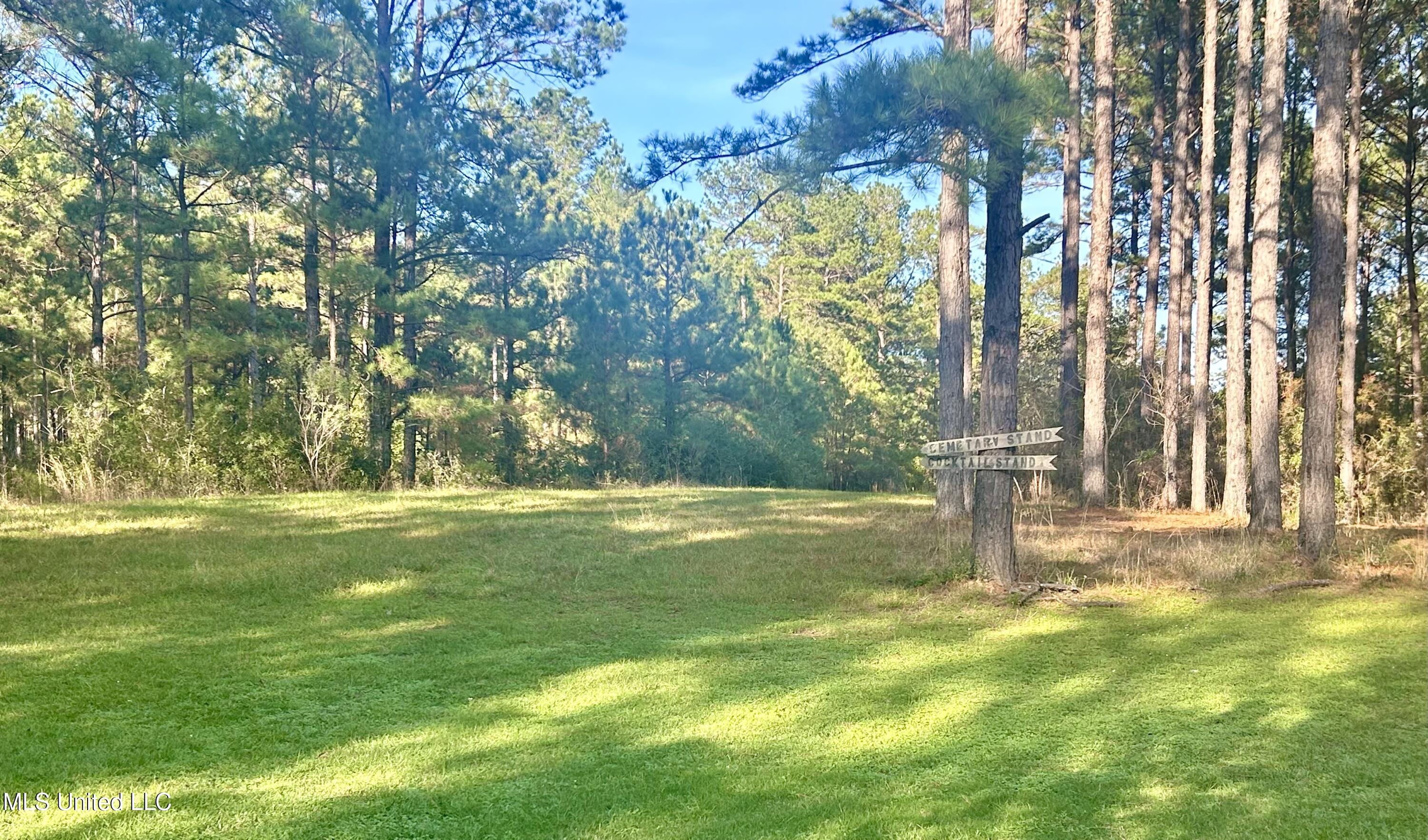 1845 Dry Fork Creek Road, Crosby, Mississippi image 48